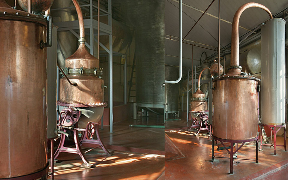 stabilimento torino distillati